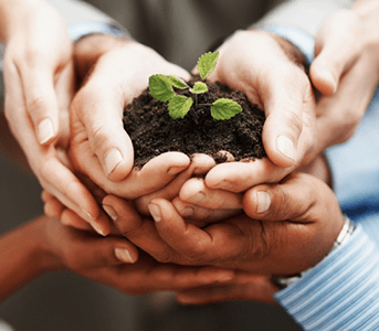share